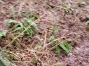 Standing Piss off Bridge 13/16