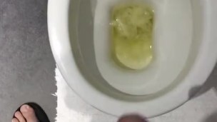 Toilet piss