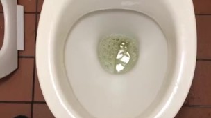 Toilet piss