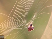 Deeper. Blonde babe fucked by stranger 1/16