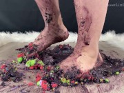 Sprinkle Party 12/16