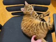 Stylish excited to get a massage.  11/16