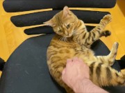 Stylish excited to get a massage.  12/16