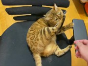 Stylish excited to get a massage.  14/16