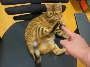 Stylish excited to get a massage.  15/16