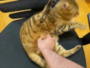 Stylish excited to get a massage.  16/16