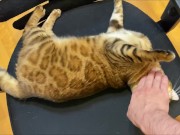 Stylish excited to get a massage.  2/16