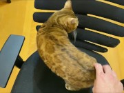 Stylish excited to get a massage.  3/16