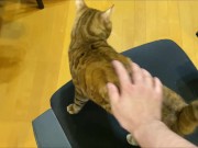 Stylish excited to get a massage.  4/16