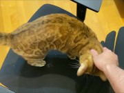 Stylish excited to get a massage.  5/16