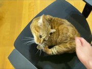 Stylish excited to get a massage.  7/16