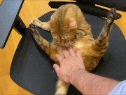 Stylish excited to get a massage.  9/16