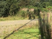 See Through Shorts Hike Trailer Public Nudity 15/16