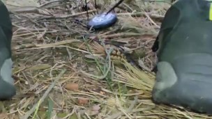 torture play my cock in the forrest