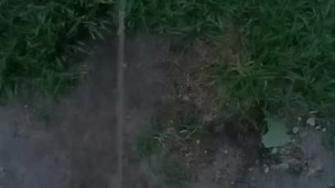 Back again with another peeing video 