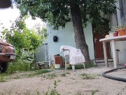 Walking in the yard 1/16