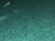 Masturbation Session In The Kitchen & Swallowing My Cumshot I Sucked Up From The Counter 14/16