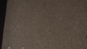 Spraying piss all over my carpet … and I didn’t clean it up
