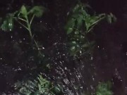 I water the garden 11/16