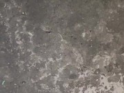 I water the garden 6/16