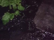 I water the garden 8/16