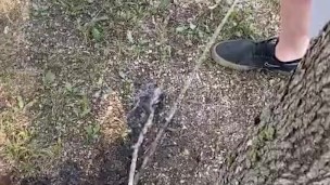 Another public piss - sword fight