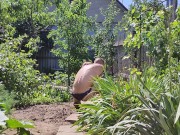 Wraping in the morning sun 3/16