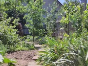 Wraping in the morning sun