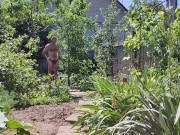 Wraping in the morning sun 6/16