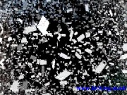 nuts kicking cbt 2/16