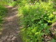 Hiking with Your Girlfriend 16/16