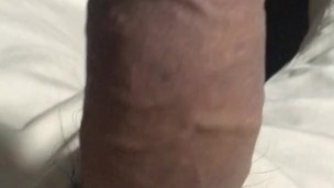 ぴくぴく動くチンコ。誰かに触ってほしい。