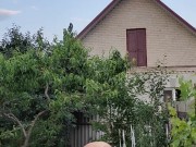 Evening in the garden, there is something to do 2/16