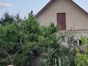 Evening in the garden, there is something to do 3/16