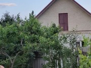 Evening in the garden, there is something to do 4/16