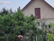 Evening in the garden, there is something to do 5/16