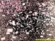 cuckold femdom 12/16