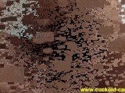 femdom cuckolding 3/16