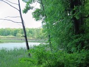 A lot of mosquitoes didn't stop her from sucking his cock in the woods 1/16