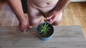 Cicci77 nutre le sue piante con pipì e sperma per renderle rigogliose!! È un peccato sprecare i nost