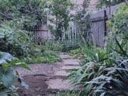 Evening entertainment in the garden