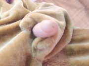 Obey Your Lion Goddess 1/16