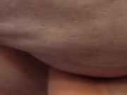 Pet urinates for your enjoyment  13/16