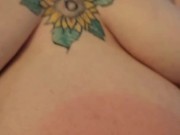 Pet urinates for your enjoyment  5/16