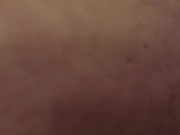 Pet urinates for your enjoyment  6/16