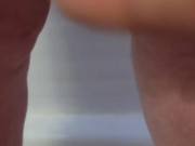 Pet urinates for your enjoyment  7/16