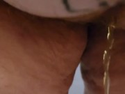 Pet urinates for your enjoyment  8/16