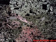 whip domination 12/16