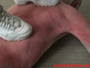 whip domination 16/16