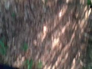 Naked submissive slut taken for a walk on a leash in forest ANAL LEASH but plug 4/16